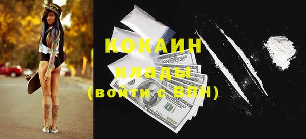 стаф Корсаков