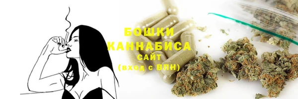ECSTASY Костерёво