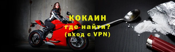 стаф Корсаков