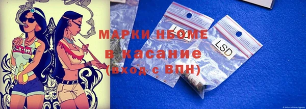 стаф Корсаков