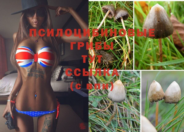 мефедрон мука Козловка