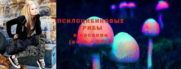 мдма Коряжма