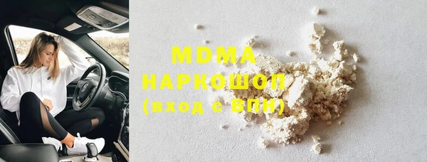 стаф Корсаков