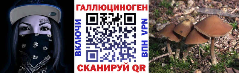 Псилоцибиновые грибы GOLDEN TEACHER  Купить  Иваново 